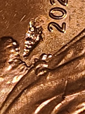 2021-Penny--Struck-Thru-Possibly?