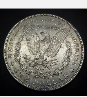 Clashing-All-Over-This-1889-Morgan-Dollar?