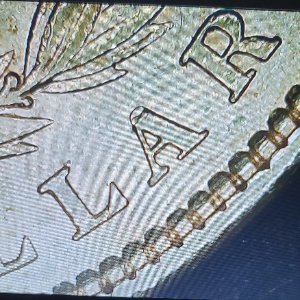 Clashing-All-Over-This-1889-Morgan-Dollar?