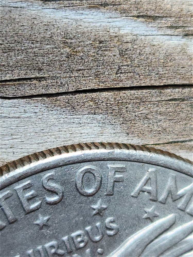 1971-D-Eisenhower-Dollar-Coin-DDR-Or-Nice-M/D?