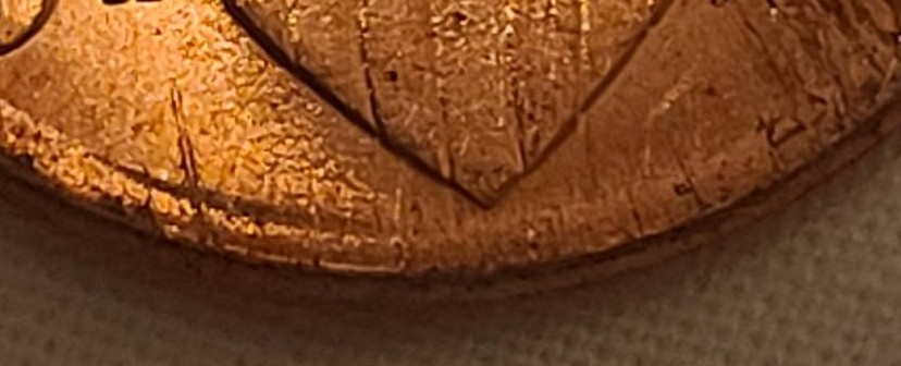 2018-Penny-Finger-Feeder-Damage?