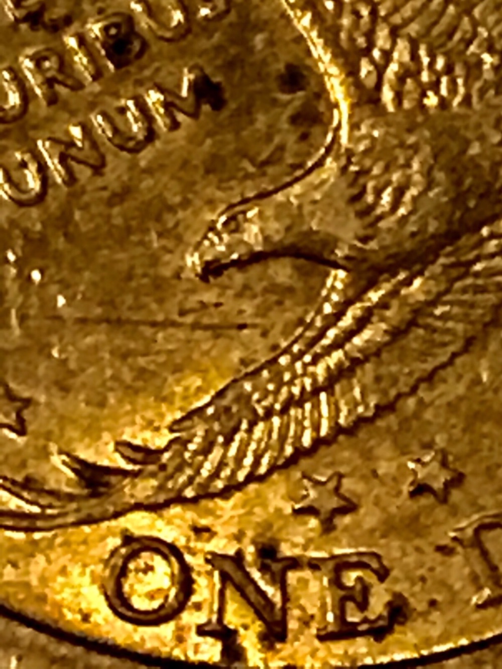 2000-P-Sacagawea--Error?