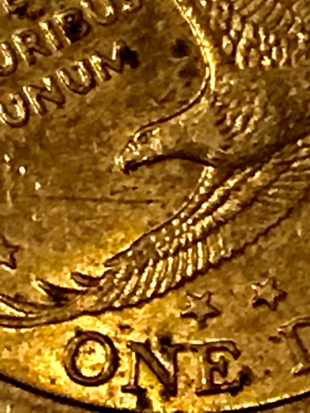 2000-P-Sacagawea--Error?