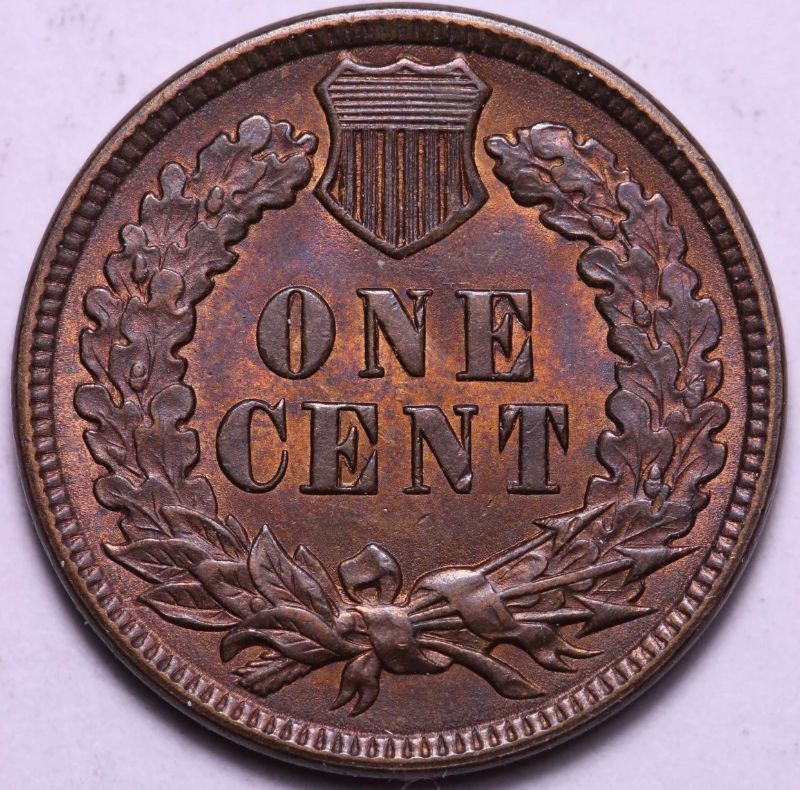 1890-Indian-Cent-Misaligned-Die-Clash--Snow-16