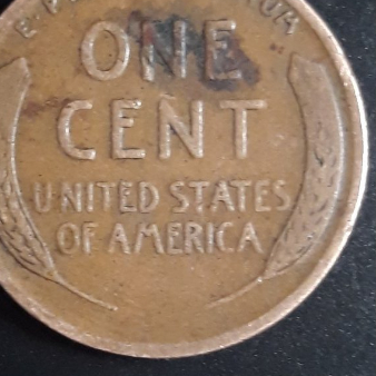 1919-One-Cent-Wheat-Should-I-Graded-It