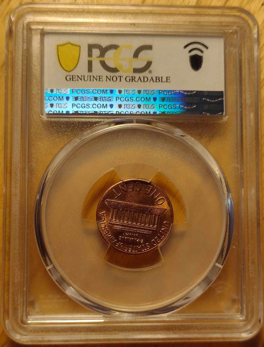1989-Penny-With-1988-RDV-005-Reverse