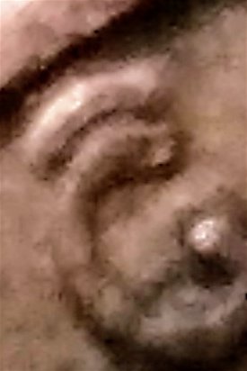 Cannot-Find-This-Kind-Of-Error,-1994-D-Penny