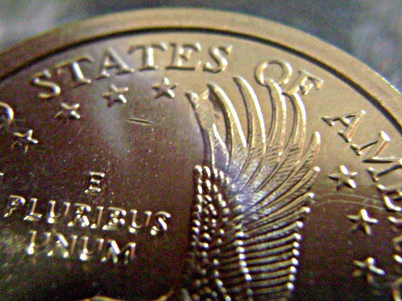 Sacagawea-Error,-Delamination-On-Eagle�s-Wing