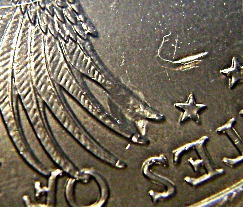 Sacagawea-Error,-Delamination-On-Eagle�s-Wing