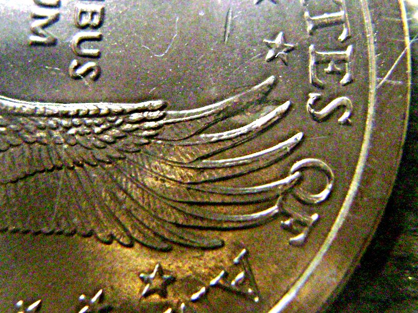 Sacagawea-Error,-Delamination-On-Eagle�s-Wing