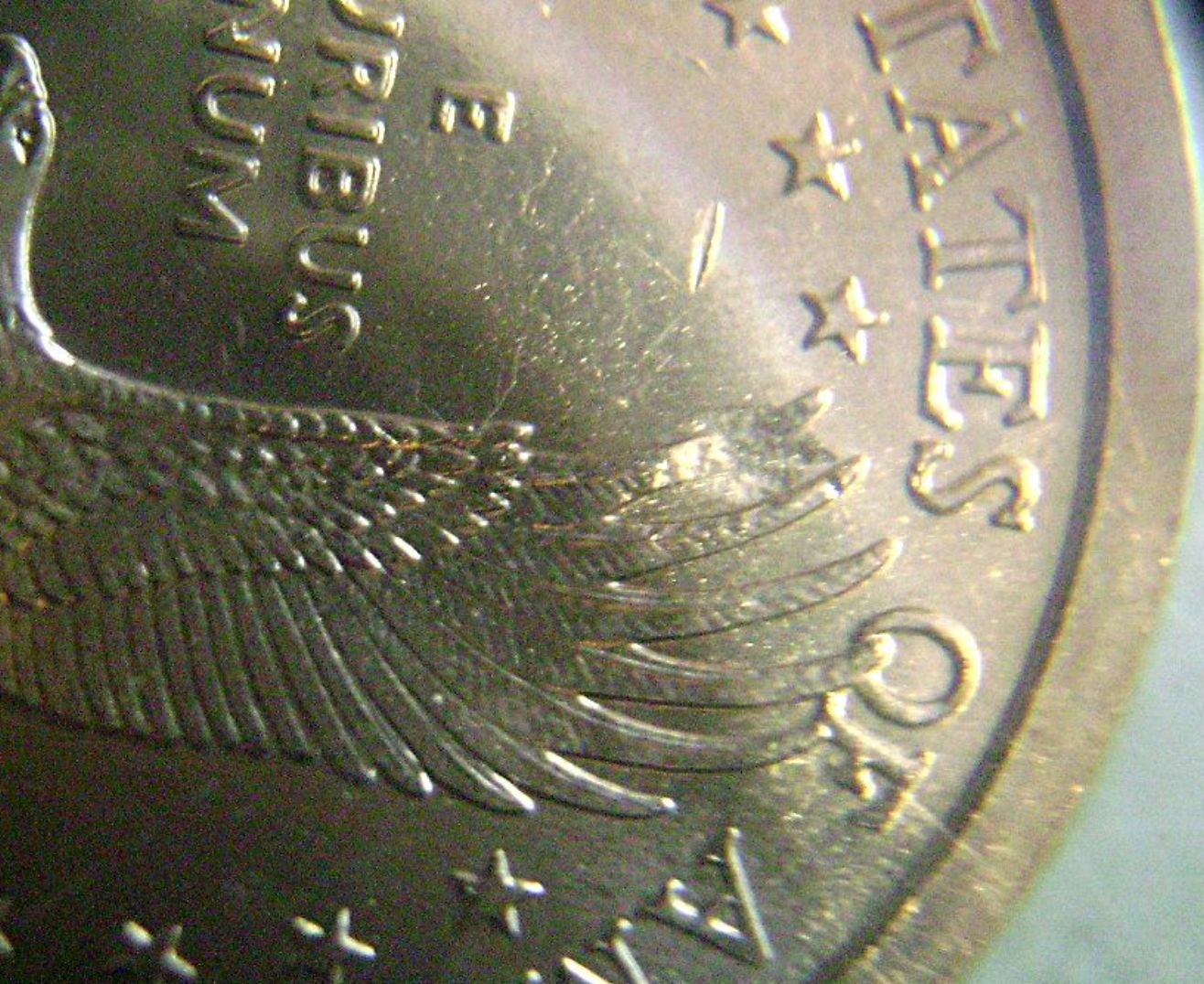 Sacagawea-Error,-Delamination-On-Eagle´s-Wing