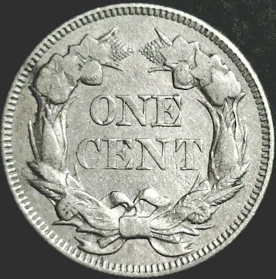 1858-Penny!-That-I-Have-&-Now-Worthless-Why?!?!