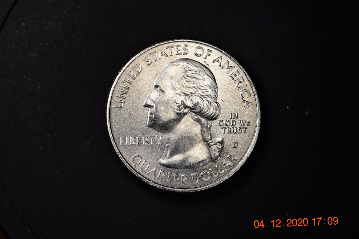 2020-D-Wier-Farm-Headache-Quarter
