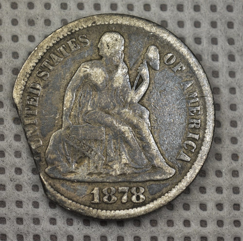 Clipped-1878-Sitting-Lib-Dime-Or-PMD?