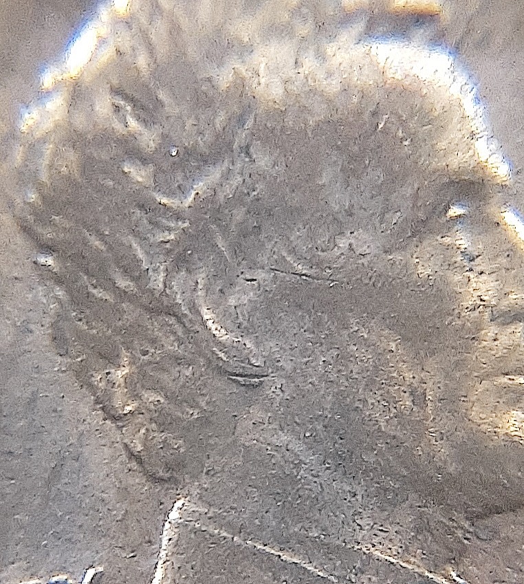 1988-P-Penny,-Is-This-An-FS-101?