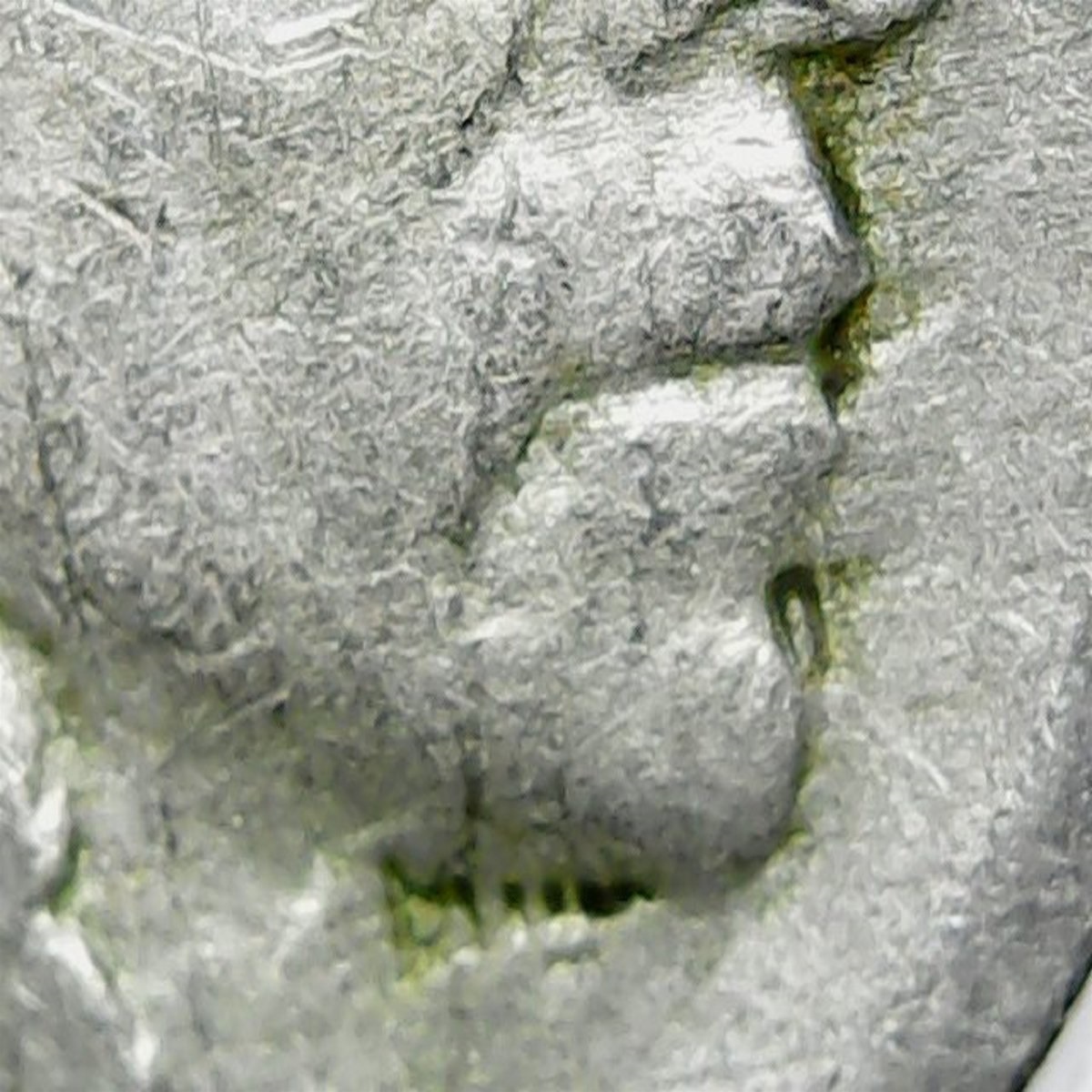 Buffalo-Nickel-Die-Clash-Error?