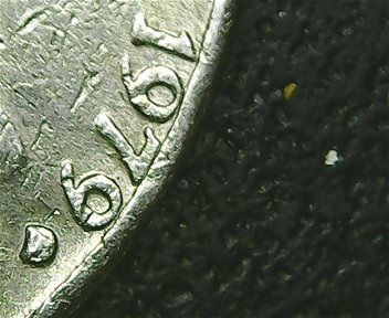 1979-Jefferson-Nickel-DDO?