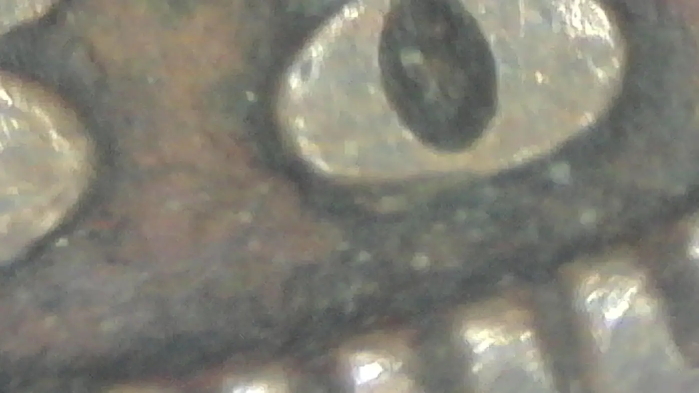 1888-Indian-Head-Penny-8-Over-7-Error?
