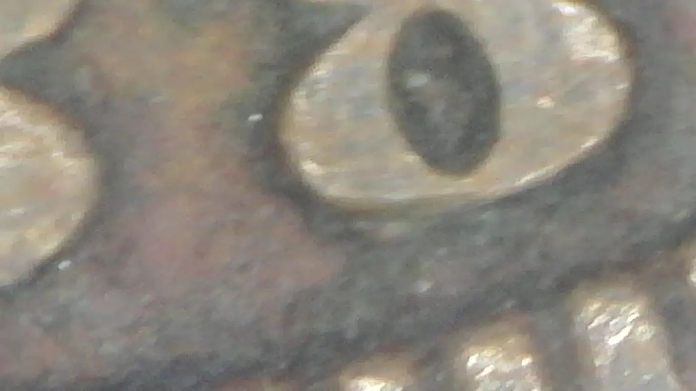 1888-Indian-Head-Penny-8-Over-7-Error?