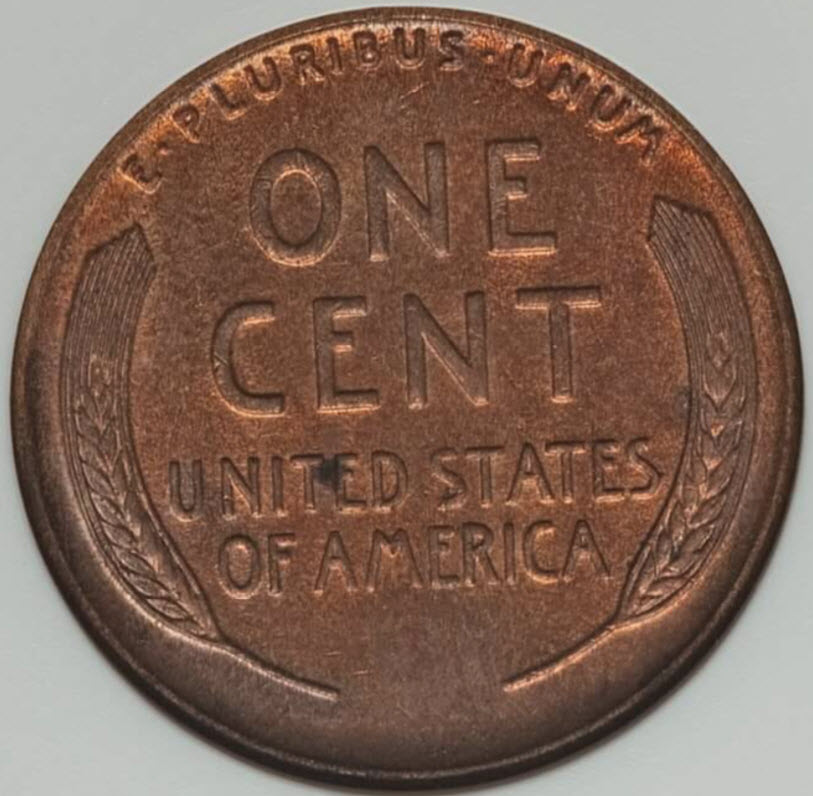1915-S-Wheat-Penny-You-Vs-ANACS