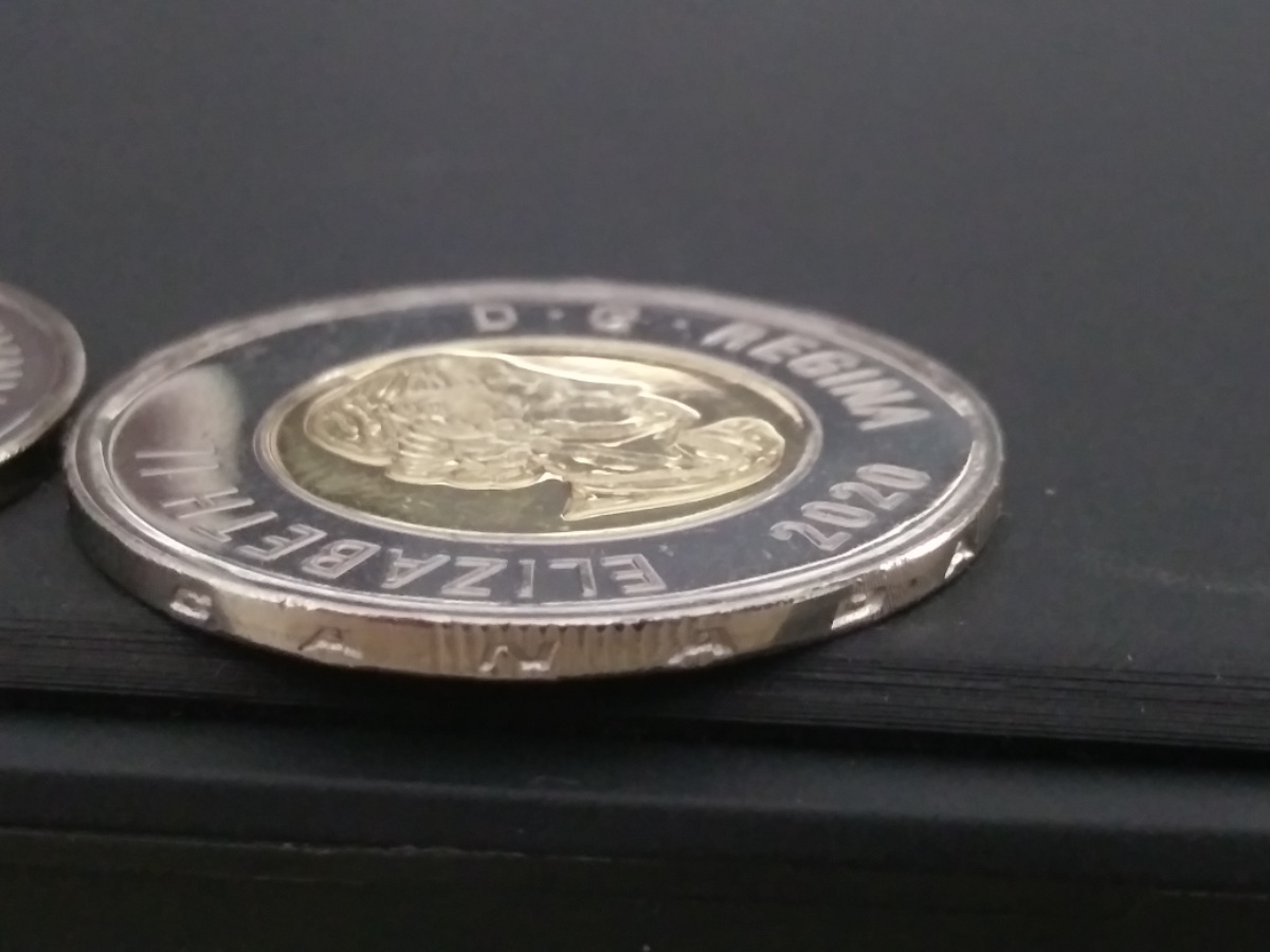 2020-Toonie.-Upside-Down-Lettering-On-Collar