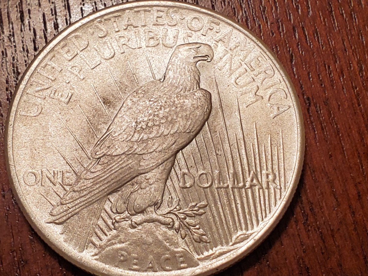 1925-Peace-Dollar.-What-Might-It-Be-Worth