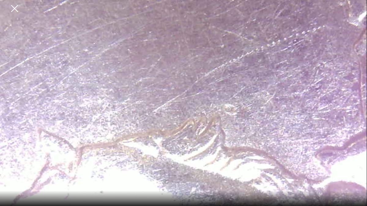 1999-P-Delaware-Quarter-Possible-Die-Crack.