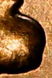 1958-Lincoln-Penny-DDO-And-Reverse?-Here-Are-A-Few-Of-Their-Pic's.