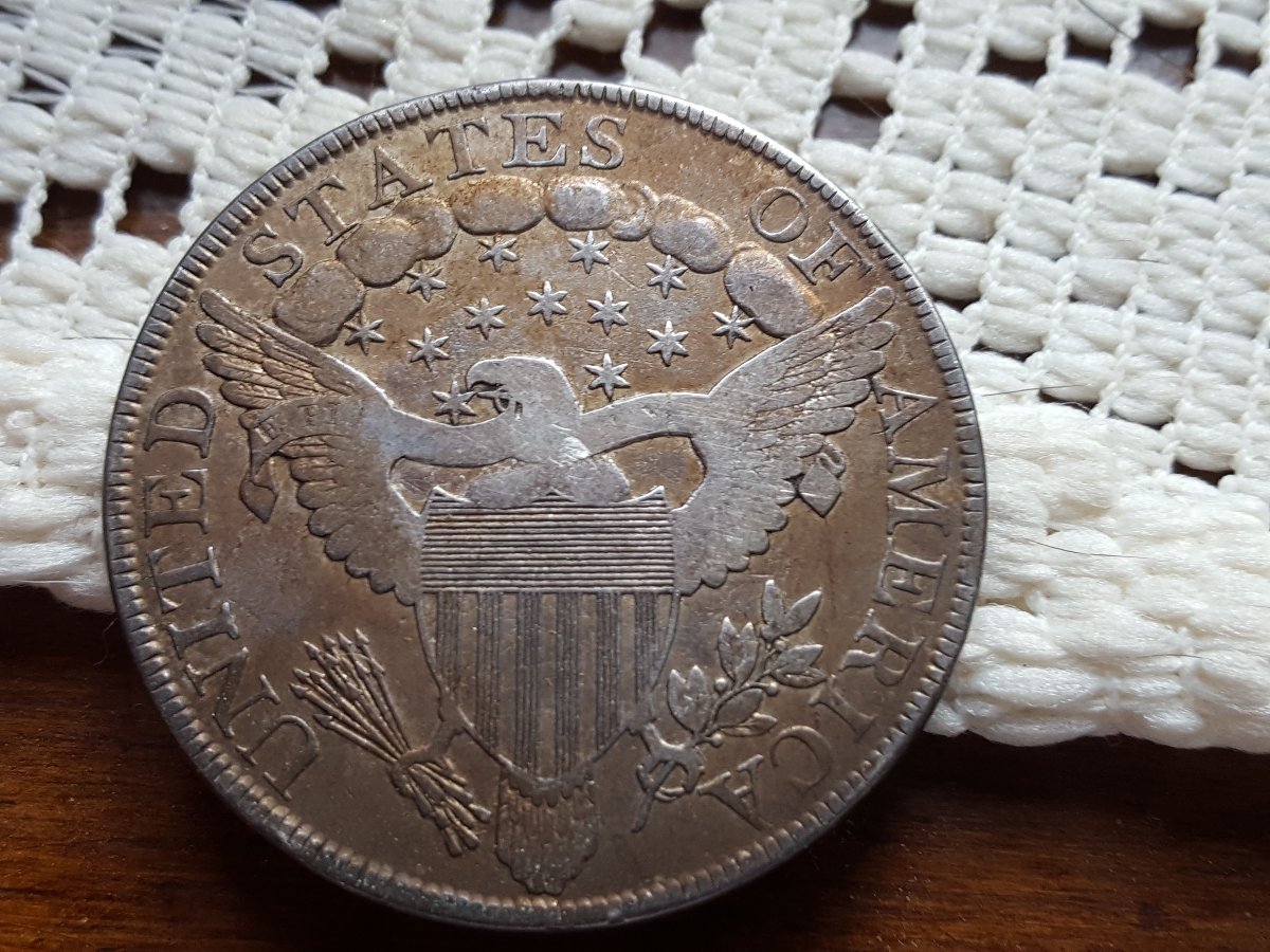 How-Would-You-Grade-This-1799-Draped-Bust-Heraldic-Eagle-Dollar?