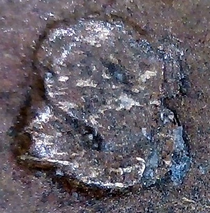 1917-S-Wheat-Penny-Possible-DDO-On-