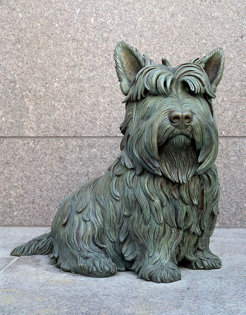 2013-Twenty-Dollar-Bill-W-Dog-In-Window?
