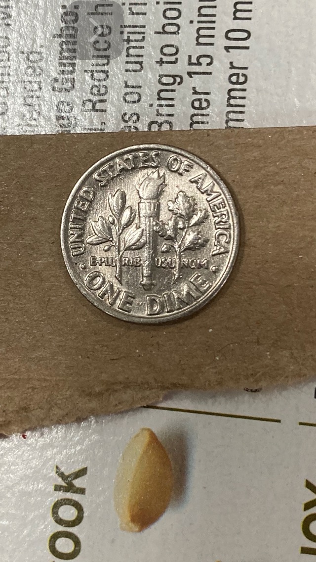 ID-Understand-More-What-Is-It-When-You-See-Shadowing-On-Coin-1982-Dime-Is-This-Call-MD