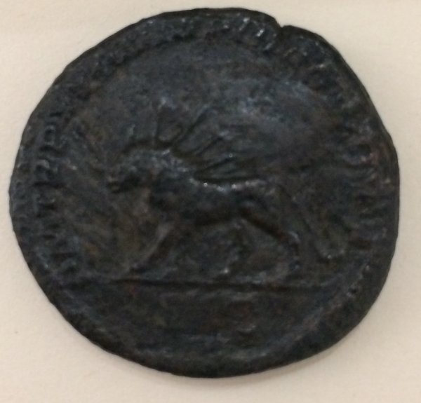 My-New-Sestertius-Of-Caracalla