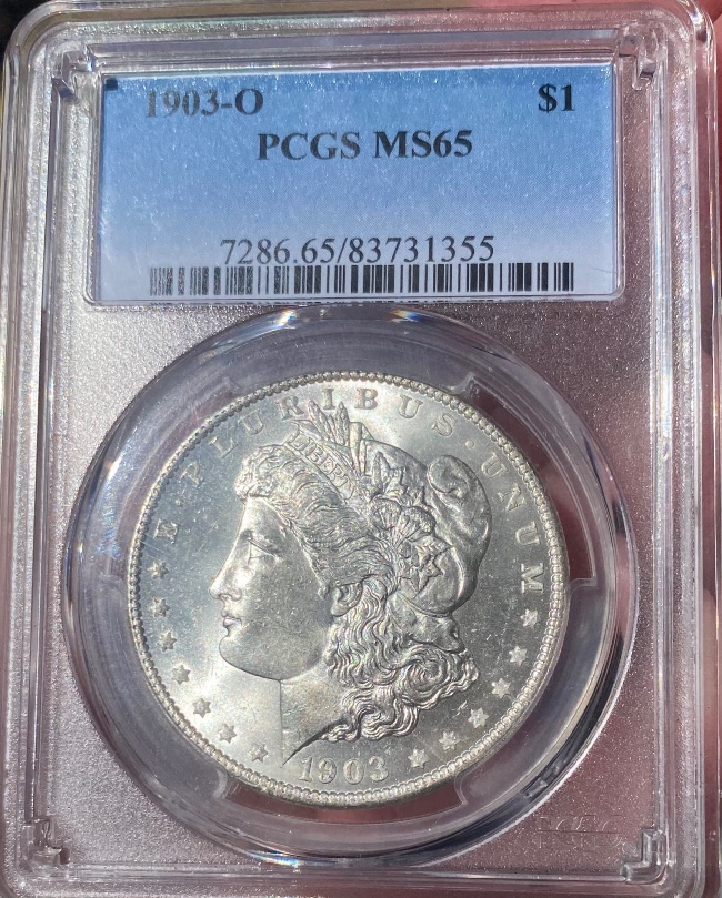 What-Is-The-Obsession-With-Morgan-Dollars-With-So-Many-New-And-Intermediate-Coin-Collectors?