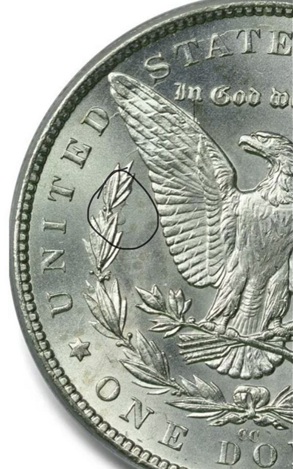 1882-CC-Is-This-A-VAM?