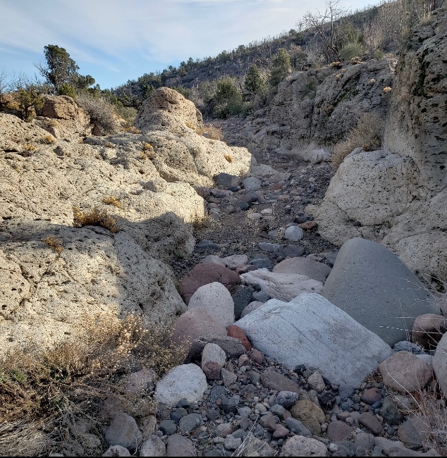 Bedrock,-Blacksand,-And-Mountain-Lions-Hummmmm!