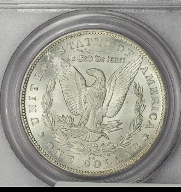 28-Days-Of-The-Morgan-Dollars-Part-5