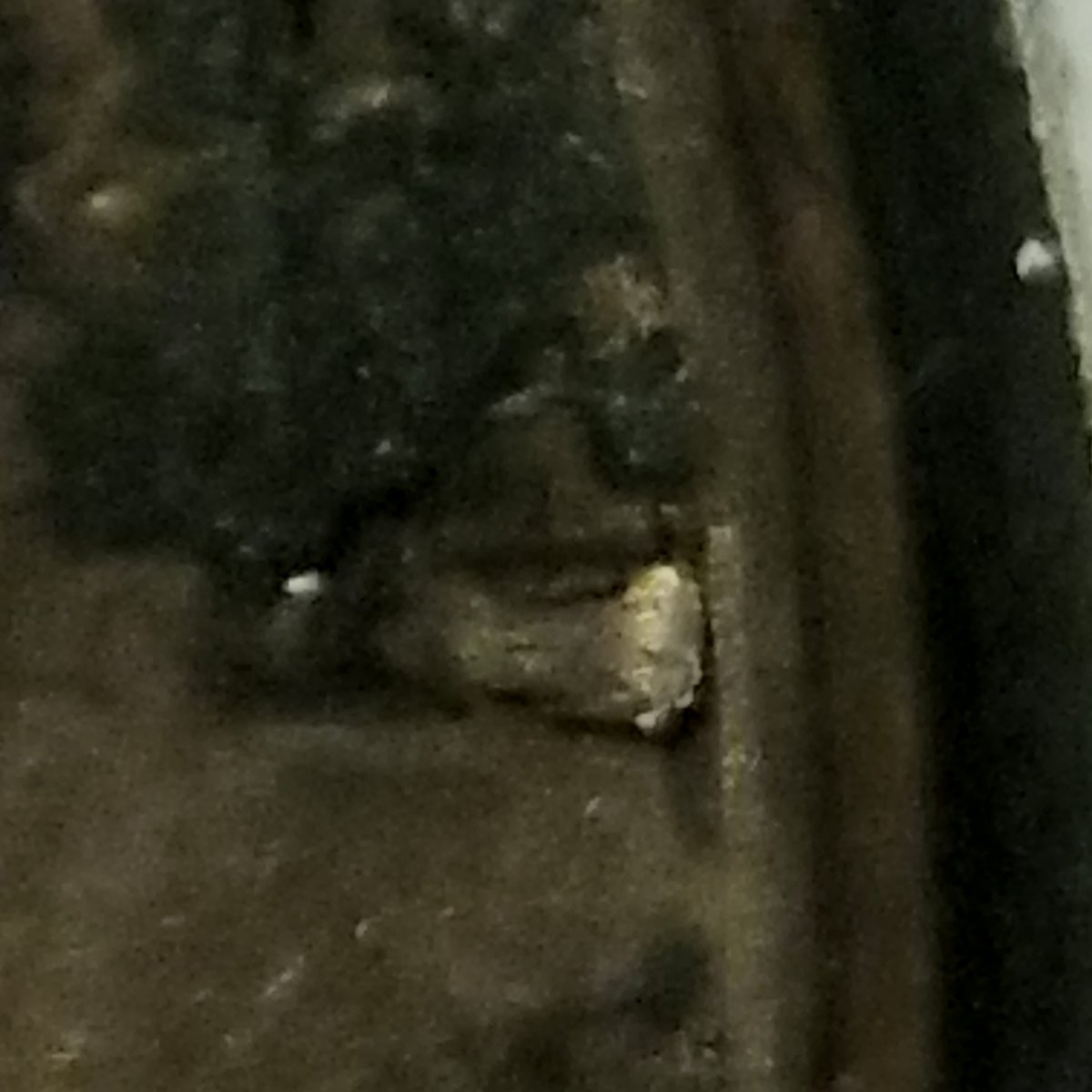 1959-D-Lincoln-Cent-BU-Retained-Grease-Strike/RPM