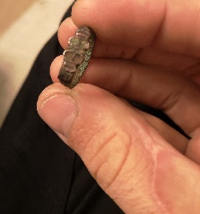 Long-Shot,-But-Can-Anyone-Identify-This-Metal-Detecting-Ring-Find?