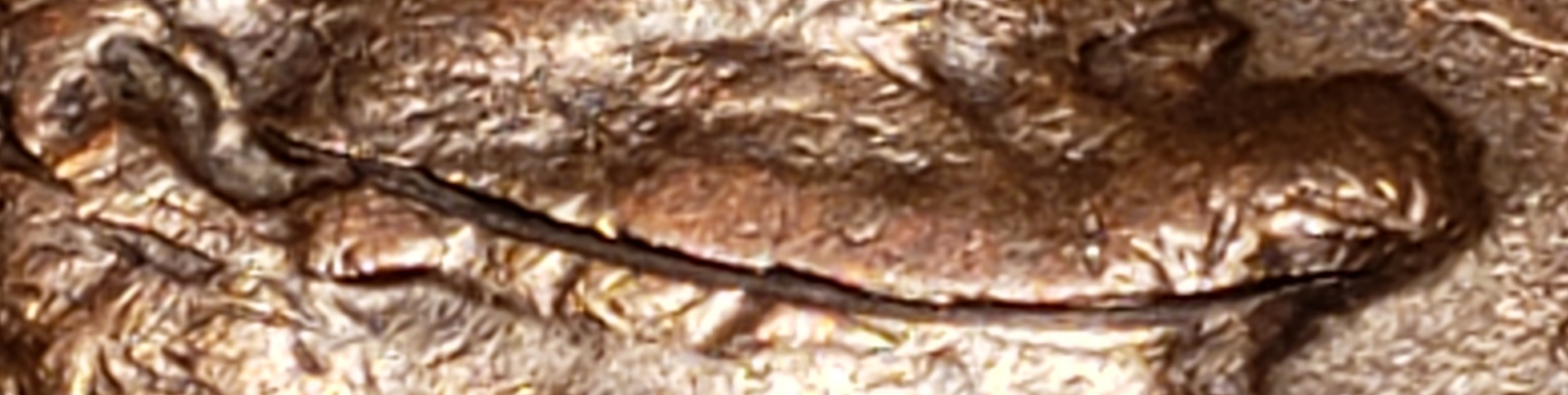 1952-D-LWC,-Obverse-Struck-Through/Wannabee?-Weight-3.10g