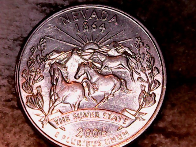 2006-P-Nevada-Quarter-Horse-Tail