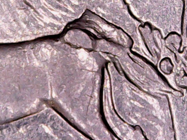 2006-P-Nevada-Quarter-Horse-Tail