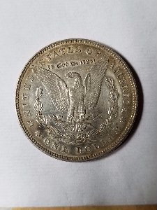 Need-Help-With-A-1878-Morgan-Dollar.