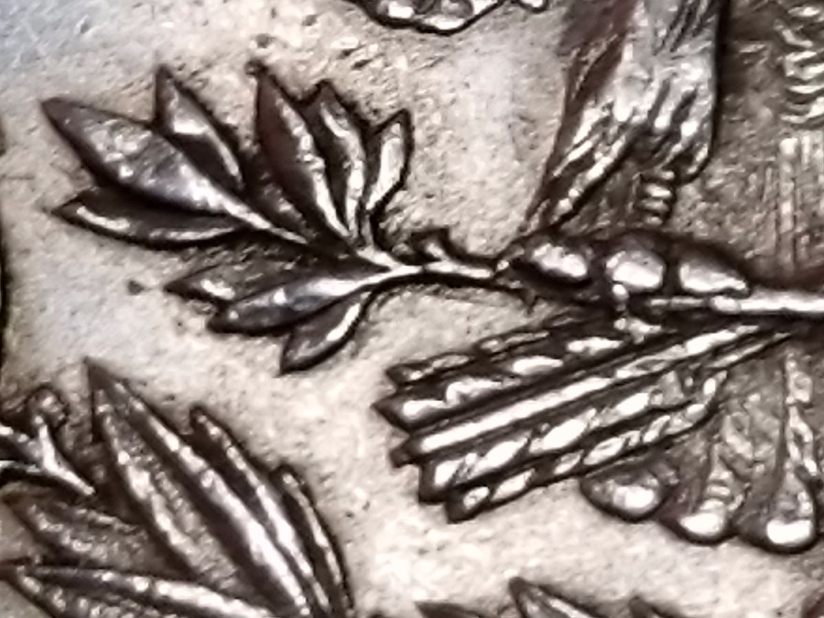 Need-Help-With-A-1878-Morgan-Dollar.
