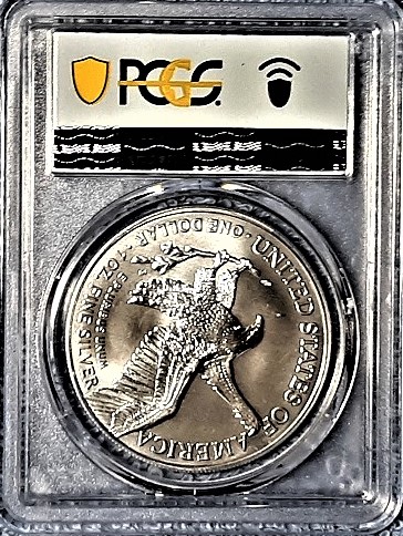 Dearborn's-American-Eagle-Coin-Collection.