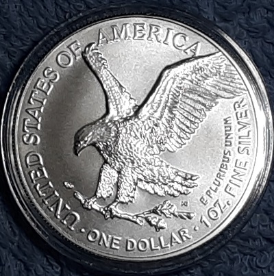 G-L-B-49's-American-Silver-Eagle-Collection