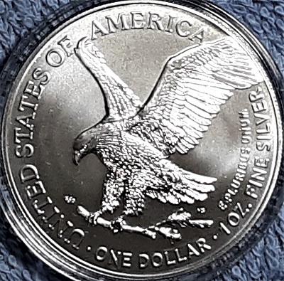 G-L-B-49's-American-Silver-Eagle-Collection