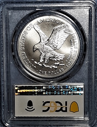 G-L-B-49's-American-Silver-Eagle-Collection