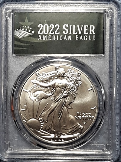 G-L-B-49's-American-Silver-Eagle-Collection