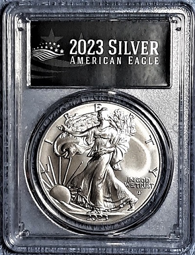 G-L-B-49's-American-Silver-Eagle-Collection
